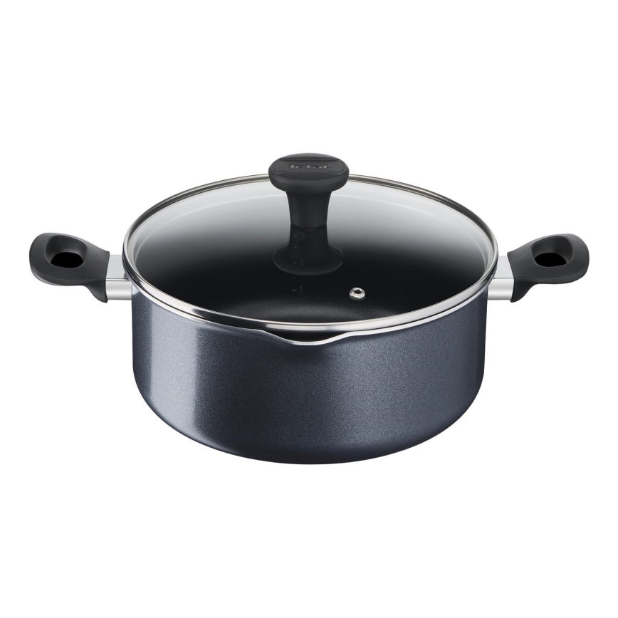Tefal - Puodas su dangteliu FAMILY DAY 24 cm