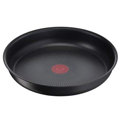Tefal - Virtuvės indų rinkinys 10 vnt. INGENIO DAILY CHEF