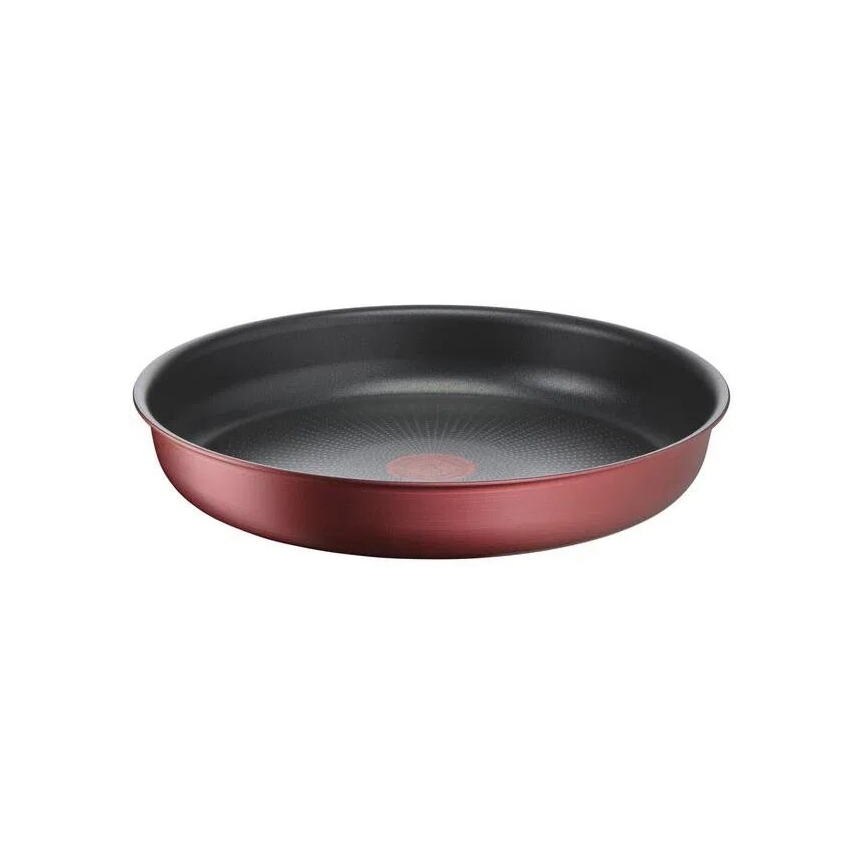 Tefal - Virtuvės indų rinkinys 10 vnt. INGENIO DAILY CHEF varis