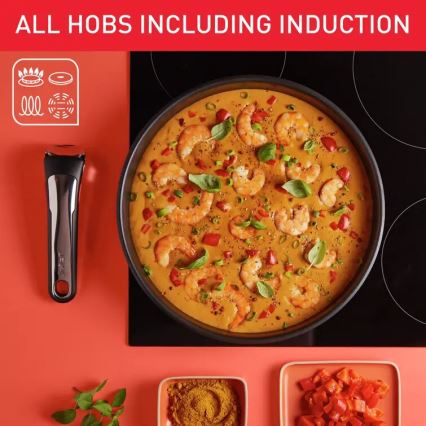 Tefal - Virtuvės indų rinkinys 13 vnt. INGENIO PREFERENCE ON nerūdijantis