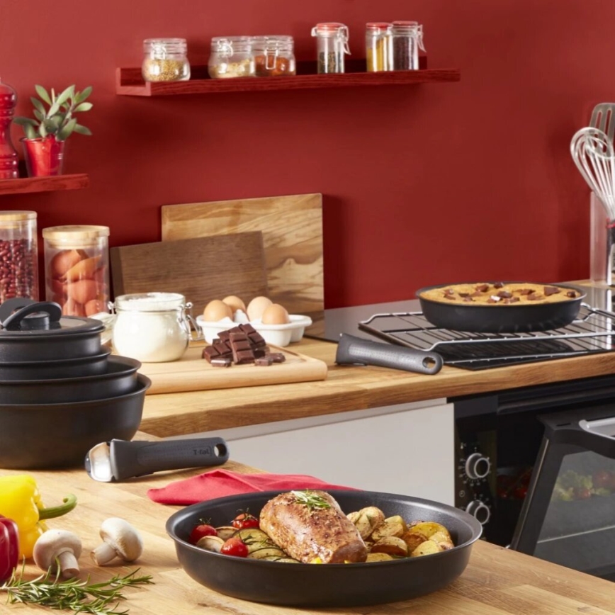 Tefal - Virtuvės indų rinkinys 13 vnt. INGENIO Unlimited