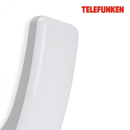 Telefunken 311604TF - LED sieninis lauko šviestuvas LED/15W/230V IP44 sidabras