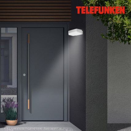 Telefunken 312204TF - LED sieninis lauko šviestuvas LED/14W/230V IP44