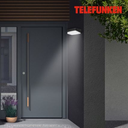 Telefunken 312205TF - LED sieninis lauko šviestuvas LED/14W/230V IP44