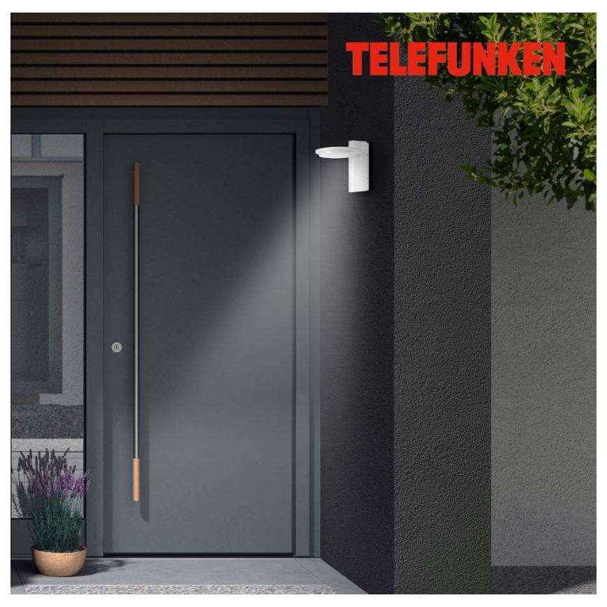 Telefunken 312406TF - LED sieninis lauko šviestuvas LED/10W/230V IP44