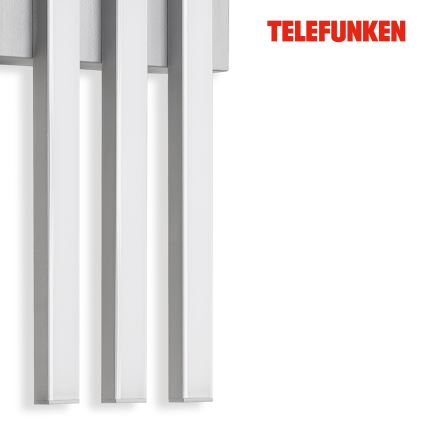 Telefunken 313104TF - LED sieninis lauko šviestuvas 3xLED/4W/230V IP44