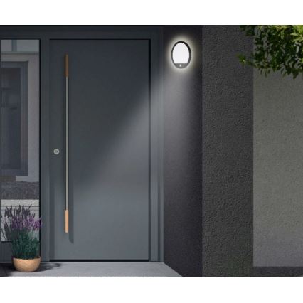 Telefunken 313705TF - LED Lauko sieninis šviestuvas su jutikliu LED/15W/230V IP44