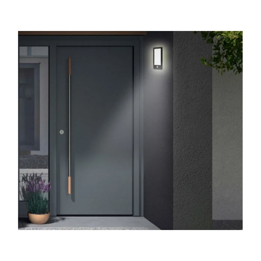 Telefunken 313905TF - LED Lauko sieninis šviestuvas su jutikliu LED/16W/230V IP44