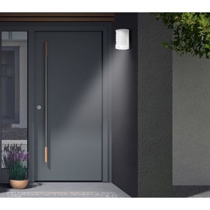 Telefunken 315506TF - lauko LED sieninis šviestuvas su judesio jutikliu LED/12W/230V IP44 baltas