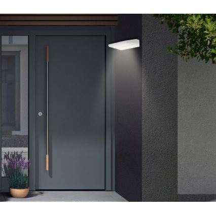 Telefunken - LED lauko sieninis šviestuvas LED/10W/230V IP44 baltas