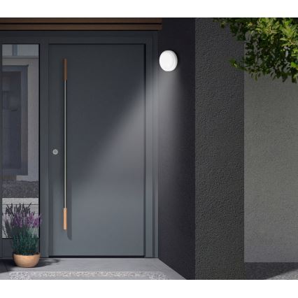 Telefunken - lauko sieninis LED šviestuvas su sutemų ir judesio jutikliu, LED/12W/230V IP44, baltas