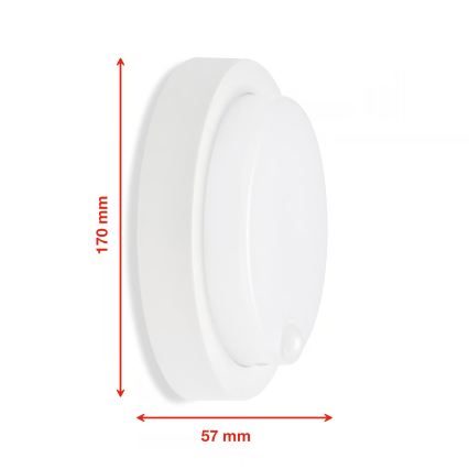 Telefunken - lauko sieninis LED šviestuvas su sutemų ir judesio jutikliu, LED/12W/230V IP44, baltas