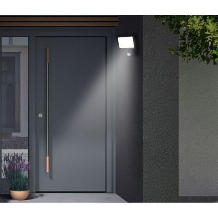 Telefunken - LED prožektorius su judesio davikliu LED/20W/230V