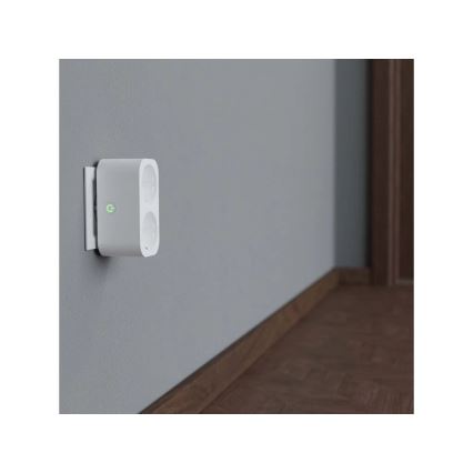 TESLA Smart - Išmanus lizdo skirstytuvas 2x16A/230V Tipas F Wi-Fi Tuya