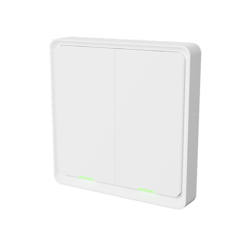 TESLA Smart - Išmanusis belaidis namų jungiklis 2P 1xCR2430 ZigBee