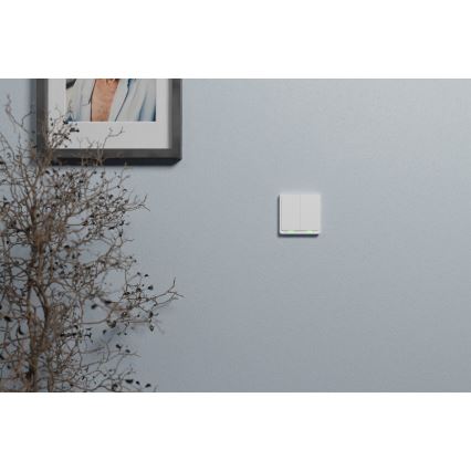 TESLA Smart - Išmanusis namų jungiklis 2P 230V Zigbee