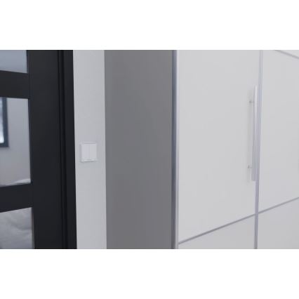 TESLA Smart - Išmanusis namų jungiklis 2P 230V Zigbee