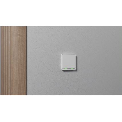 TESLA Smart - Išmanusis namų jungiklis 2P 230V Zigbee