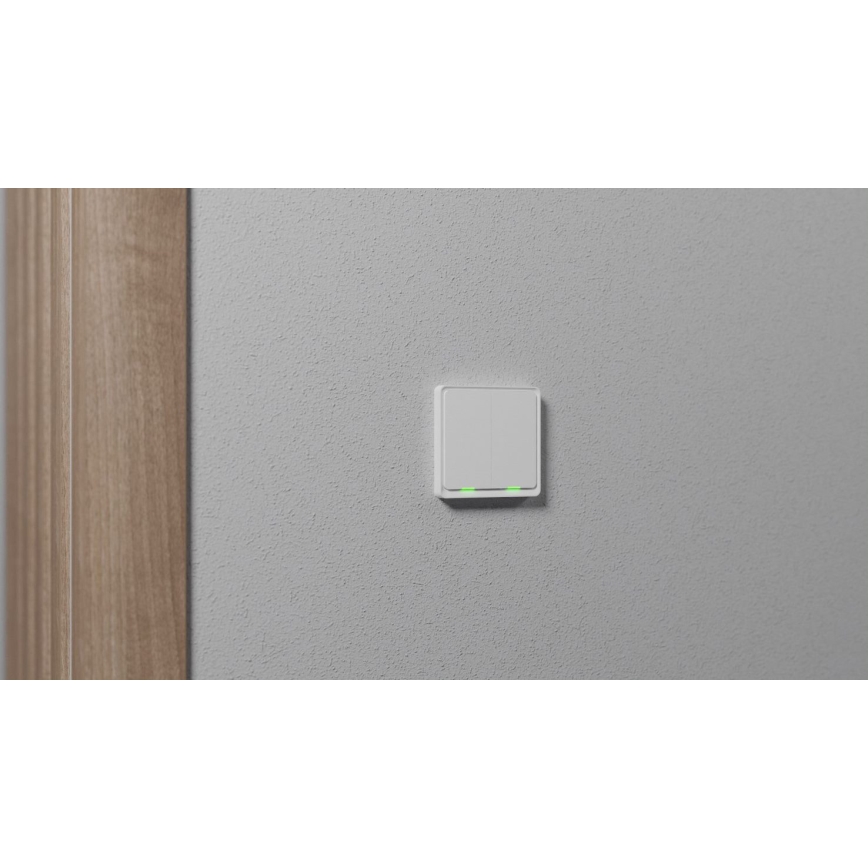 TESLA Smart - Išmanusis namų jungiklis 2P 230V Zigbee