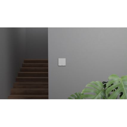 TESLA Smart - Išmanusis namų jungiklis 2P 230V Zigbee