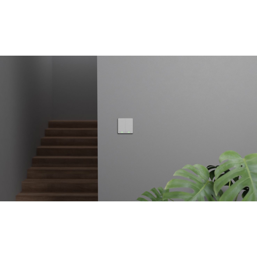 TESLA Smart - Išmanusis namų jungiklis 2P 230V Zigbee