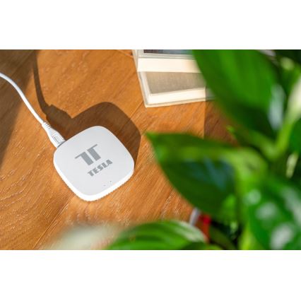 TESLA Smart - Išmanusis valdymo blokas Hub Smart Zigbee Wi-Fi