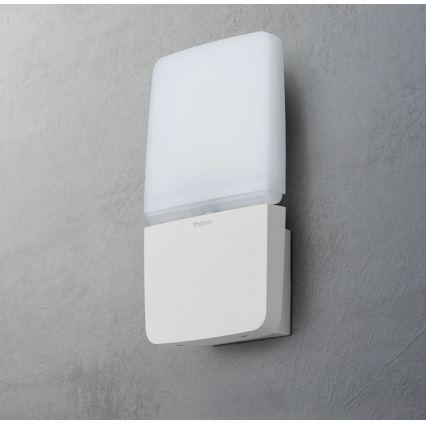 theben - LED sieninis prožektorius LED/11W/230V baltas IP55