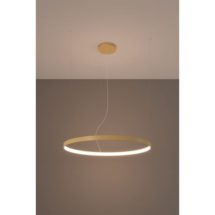 Thoro TH.174 - LED Pakabinamas sietynas RIO LED/50W/230V CRI 90 3000K diametras 78 cm auksas