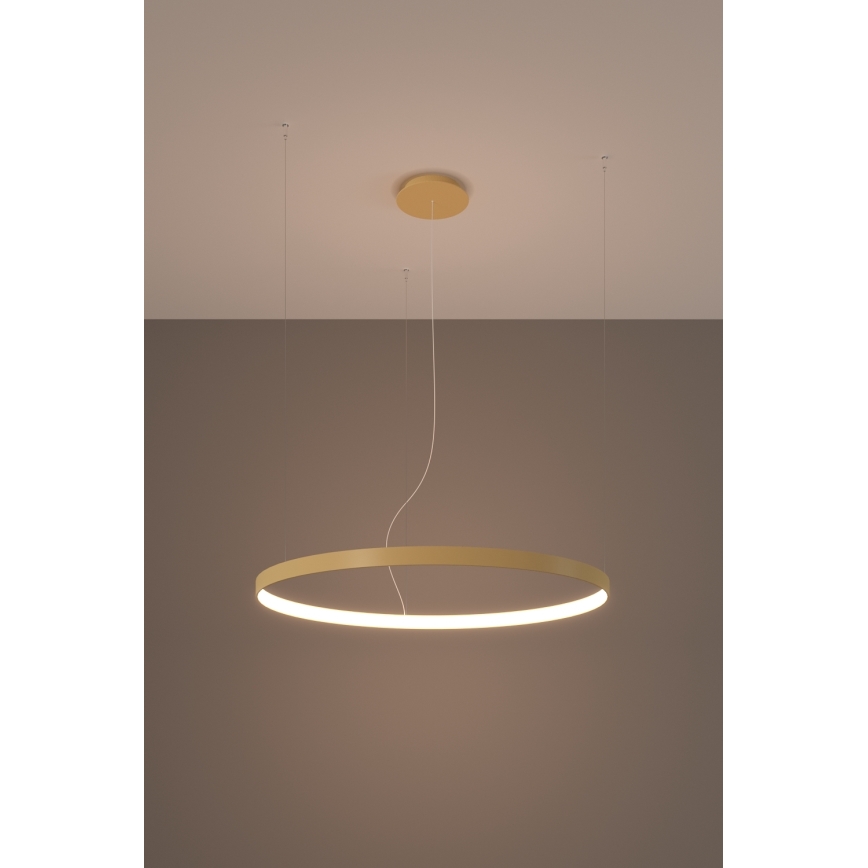 Thoro TH.174 - LED Pakabinamas sietynas RIO LED/50W/230V CRI 90 3000K diametras 78 cm auksas