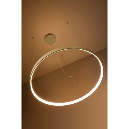 Thoro TH.174 - LED Pakabinamas sietynas RIO LED/50W/230V CRI 90 3000K diametras 78 cm auksas