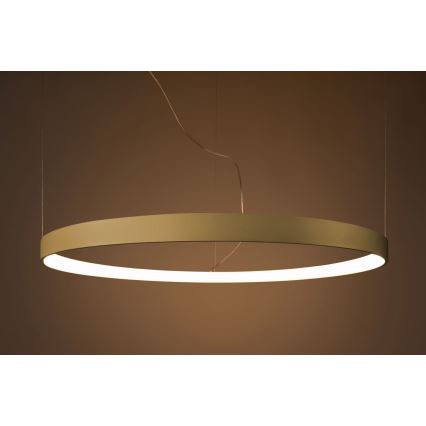 Thoro TH.174 - LED Pakabinamas sietynas RIO LED/50W/230V CRI 90 3000K diametras 78 cm auksas