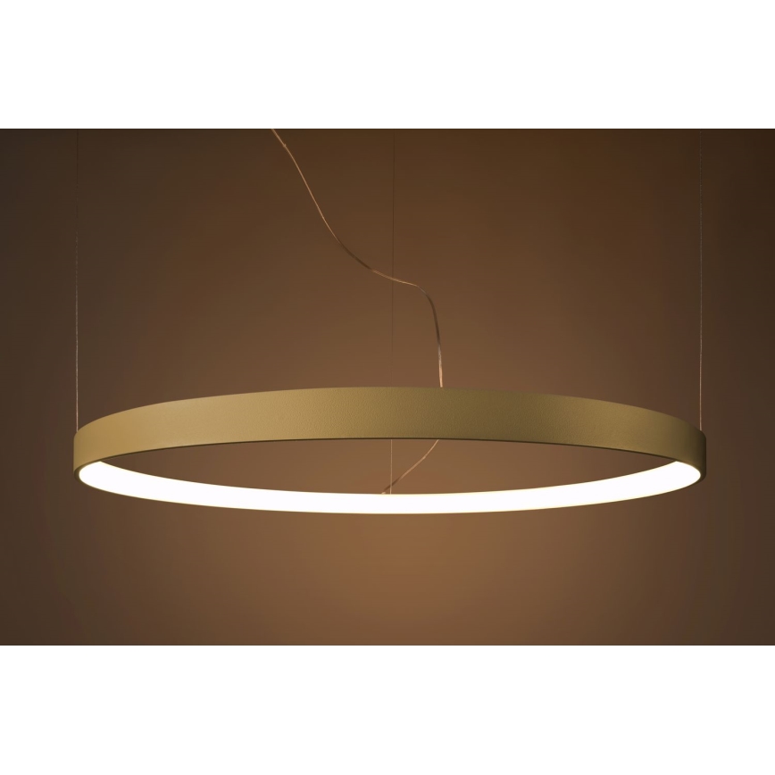 Thoro TH.174 - LED Pakabinamas sietynas RIO LED/50W/230V CRI 90 3000K diametras 78 cm auksas
