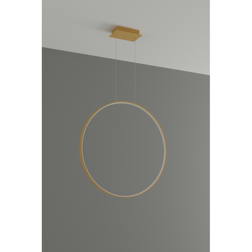 Thoro TH.175 - LED Pakabinamas sietynas RIO LED/50W/230V CRI 90 3000K diametras 78 cm auksas