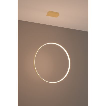 Thoro TH.175 - LED Pakabinamas sietynas RIO LED/50W/230V CRI 90 3000K diametras 78 cm auksas