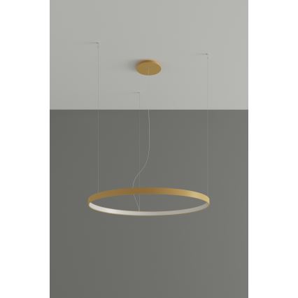 Thoro TH.181 - LED  Pakabinamas sietynas RIO LED /50W/230V CRI 95 4000K diametras 78 cm auksas