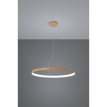 Thoro TH.181 - LED  Pakabinamas sietynas RIO LED /50W/230V CRI 95 4000K diametras 78 cm auksas