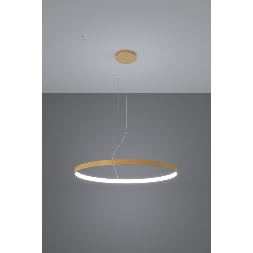 Thoro TH.181 - LED  Pakabinamas sietynas RIO LED /50W/230V CRI 95 4000K diametras 78 cm auksas