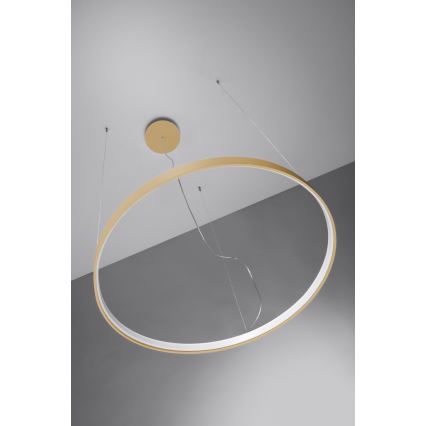 Thoro TH.181 - LED  Pakabinamas sietynas RIO LED /50W/230V CRI 95 4000K diametras 78 cm auksas