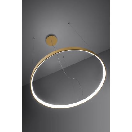 Thoro TH.181 - LED  Pakabinamas sietynas RIO LED /50W/230V CRI 95 4000K diametras 78 cm auksas