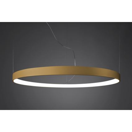Thoro TH.181 - LED  Pakabinamas sietynas RIO LED /50W/230V CRI 95 4000K diametras 78 cm auksas