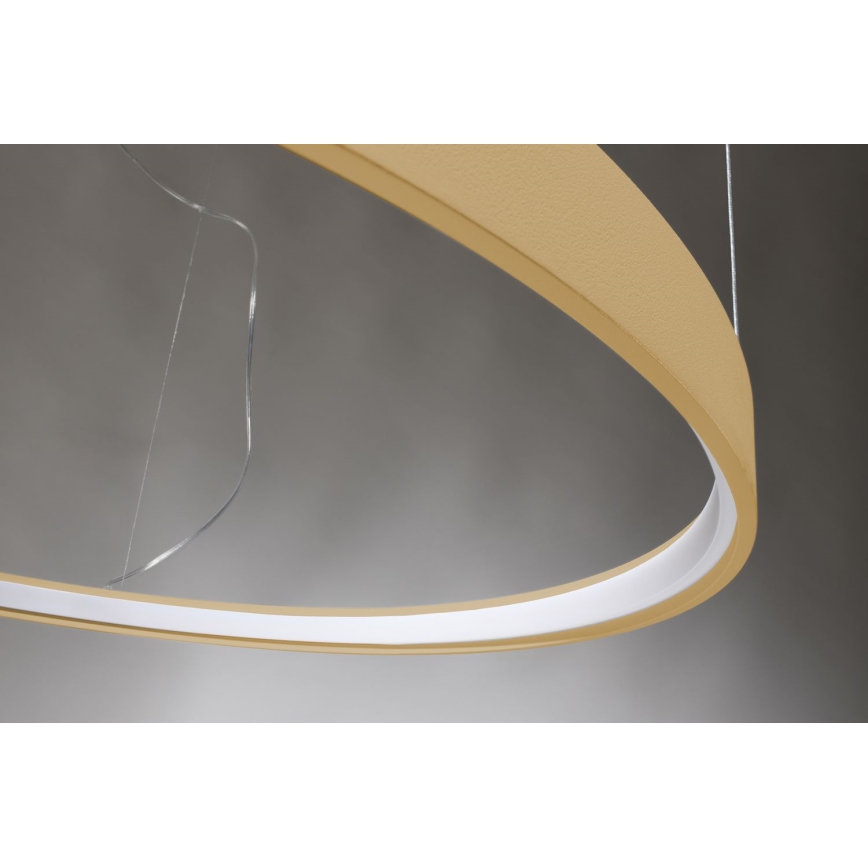 Thoro TH.181 - LED  Pakabinamas sietynas RIO LED /50W/230V CRI 95 4000K diametras 78 cm auksas