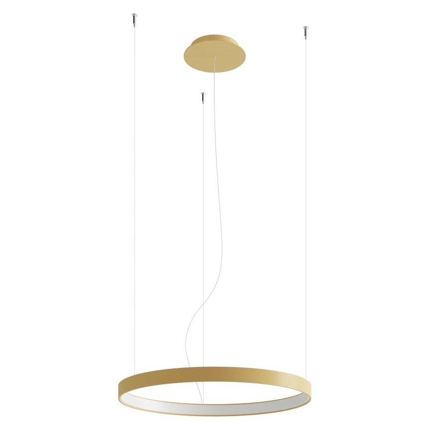Thoro TH.216 - LED Pakabinamas sietynas RIO LED/30W/230V CRI 90 3000K diametras 55 cm auksas