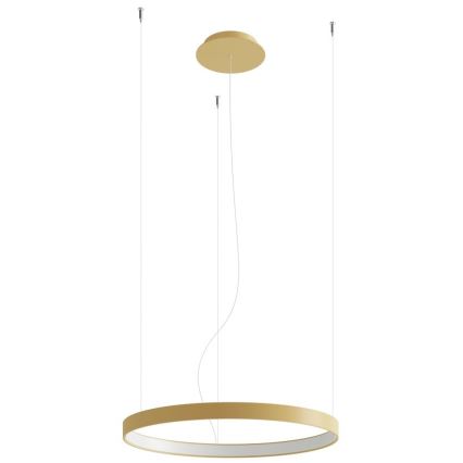 Thoro TH.217 - LED Pakabinamas sietynas RIO LED/30W/230V CRI 95 4000K diametras 55 cm auksas