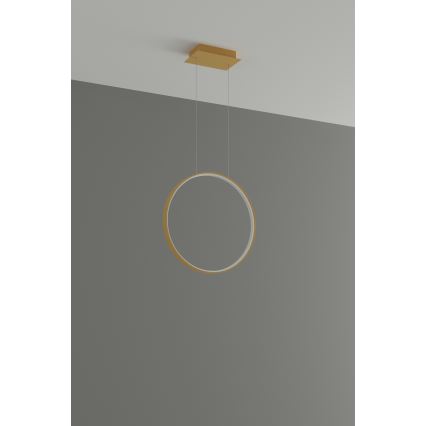 Thoro TH.220 - LED Pakabinamas sietynas RIO LED/30W/230V CRI 90 3000K diametras 55 cm auksas