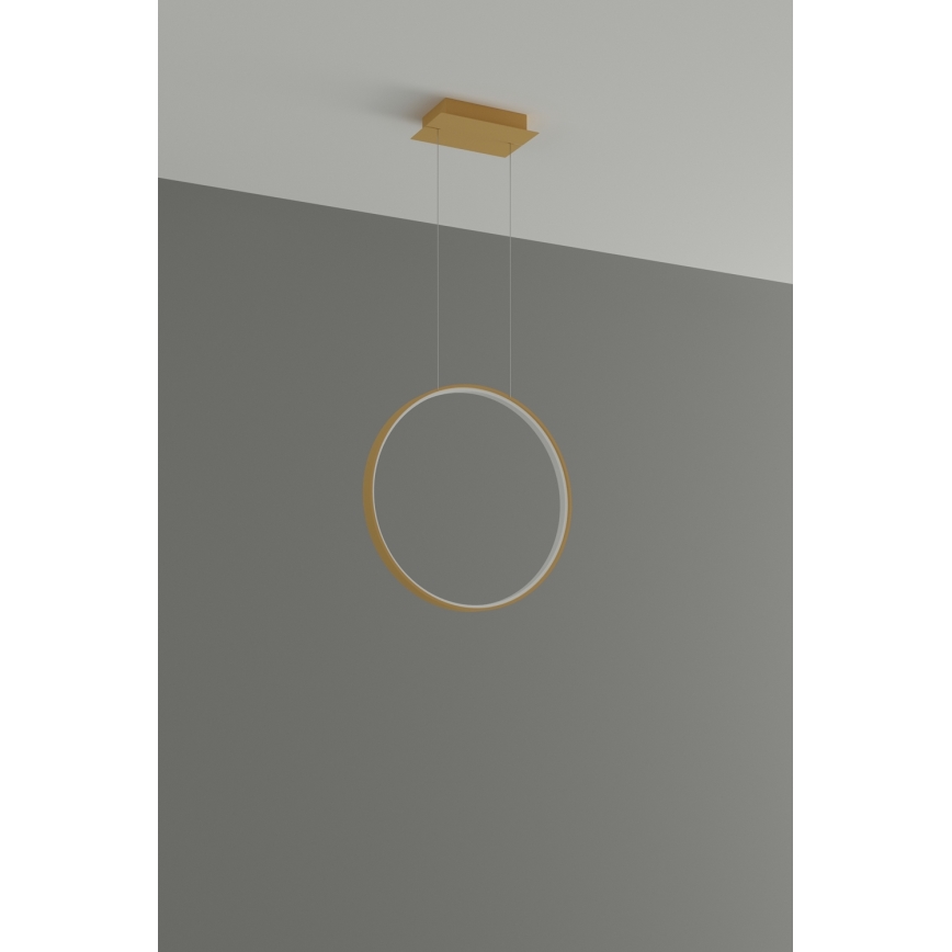 Thoro TH.220 - LED Pakabinamas sietynas RIO LED/30W/230V CRI 90 3000K diametras 55 cm auksas