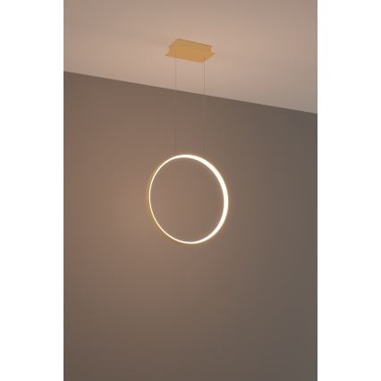 Thoro TH.220 - LED Pakabinamas sietynas RIO LED/30W/230V CRI 90 3000K diametras 55 cm auksas