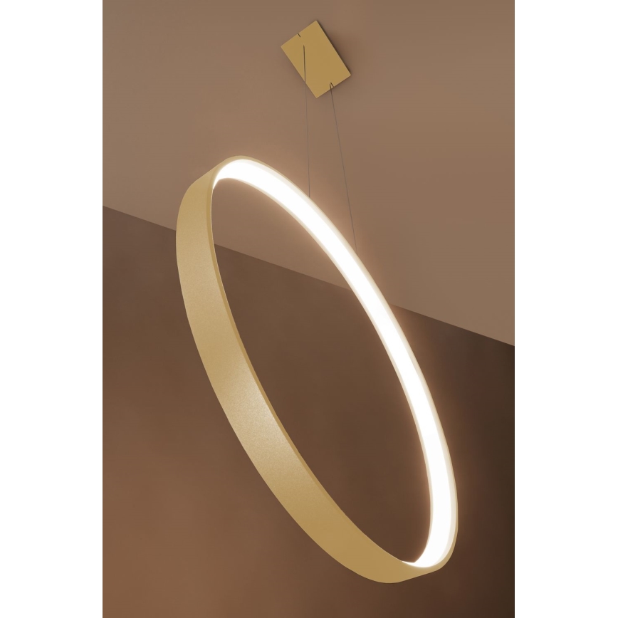 Thoro TH.220 - LED Pakabinamas sietynas RIO LED/30W/230V CRI 90 3000K diametras 55 cm auksas