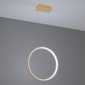 Thoro TH.221 - LED Pakabinamas sietynas RIO LED/30W/230V CRI 95 4000K diametras 55 cm auksas