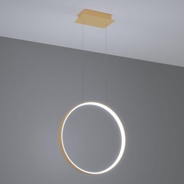 Thoro TH.221 - LED Pakabinamas sietynas RIO LED/30W/230V CRI 95 4000K diametras 55 cm auksas