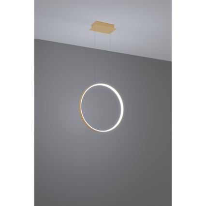 Thoro TH.221 - LED Pakabinamas sietynas RIO LED/30W/230V CRI 95 4000K diametras 55 cm auksas